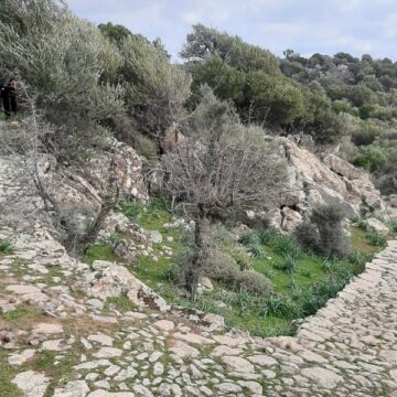 Νέα μονοπάτια για πεζοπορία και ποδήλατο στη Δυτική Λέσβο