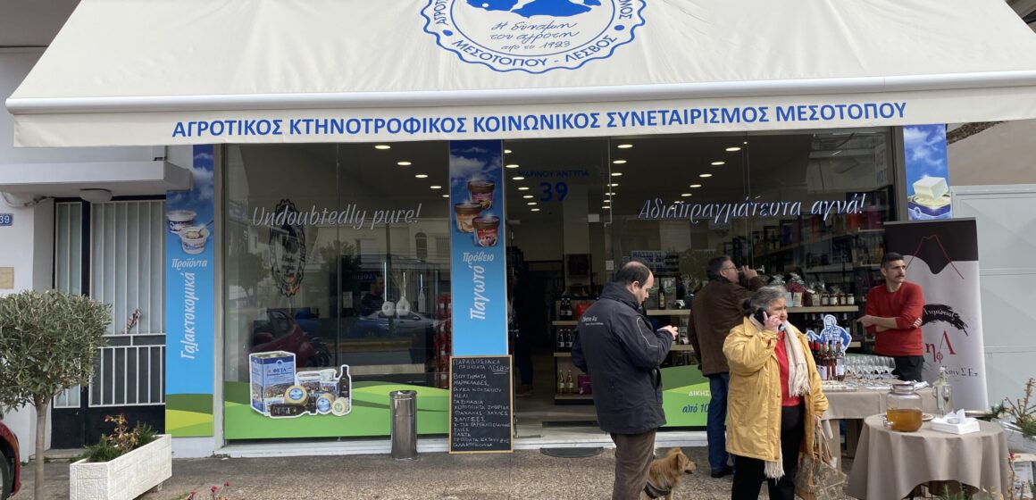 Ο Μεσότοπος στην Ηλιούπολη