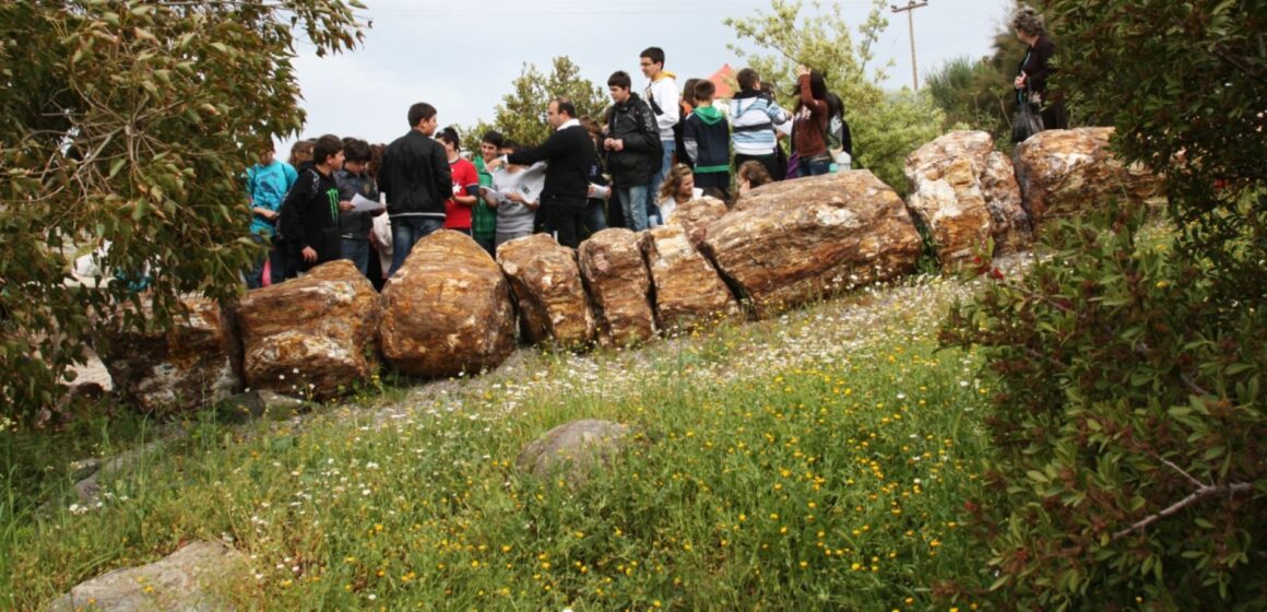 Λέσβος: Μοναδικά απολιθώματα και ανοιξιάτικη ανθοφορία στο Απολιθωμένο Δάσος