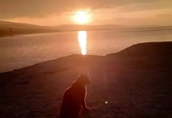 Φωτογραφική ομάδα- Περίοδος Β’-Μέρος 12ο