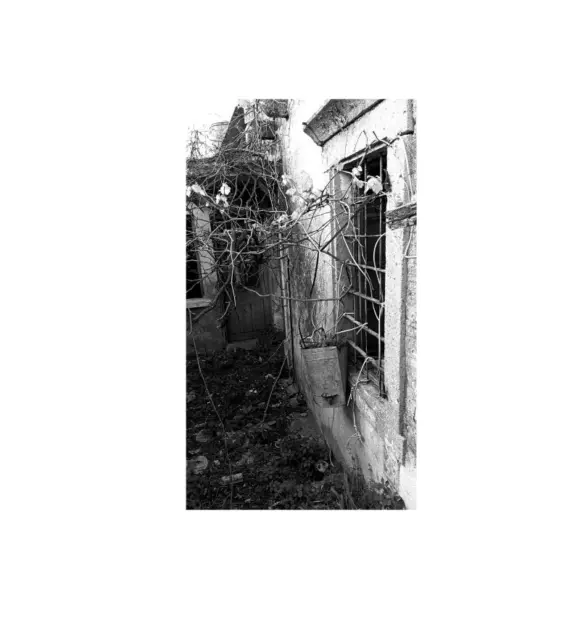 Ομάδα φωτογραφίας- Περίοδος Β’ -Μέρος 19ο