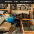 Οι μαθητές ενημερώθηκαν για τα πετρώματα. Η κοινότητα, το νησί πότε θα μάθουν για το Μουσείο πετρωμάτων μας; [βίντεο]