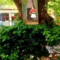 Με ολοκληρωτική καταστροφή απειλούνται οι τοιχογραφίες του Θεόφιλου