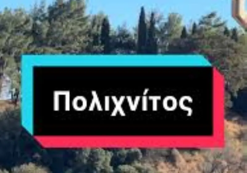 Δύο νέα εξαιρετικά καταστήματα στον Πολιχνίτο (!) από νέα δραστήρια παιδιά…