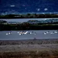 Ομάδα φωτογραφίας-Β’ Περίοδος-Μέρος 25ο