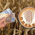 Ο ΠΕ ΚΕ ΠΕ