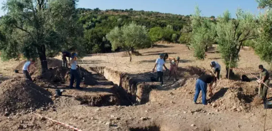 ΡΟΔΑΦΝΙΔΙΑ-ΣΥΝΕΧΙΖΟΝΤΑΙ  ΜΕ ΓΟΡΓΟ ΡΥΘΜΟ ΟΙ ΑΝΑΣΚΑΦΕΣ!!