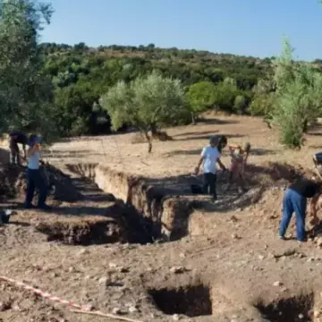 ΡΟΔΑΦΝΙΔΙΑ-ΣΥΝΕΧΙΖΟΝΤΑΙ  ΜΕ ΓΟΡΓΟ ΡΥΘΜΟ ΟΙ ΑΝΑΣΚΑΦΕΣ!!