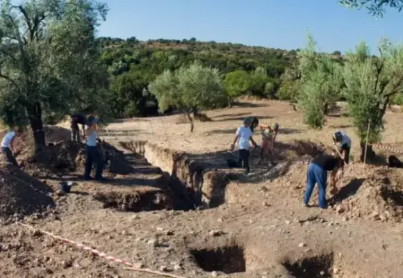 ΡΟΔΑΦΝΙΔΙΑ-ΣΥΝΕΧΙΖΟΝΤΑΙ  ΜΕ ΓΟΡΓΟ ΡΥΘΜΟ ΟΙ ΑΝΑΣΚΑΦΕΣ!!