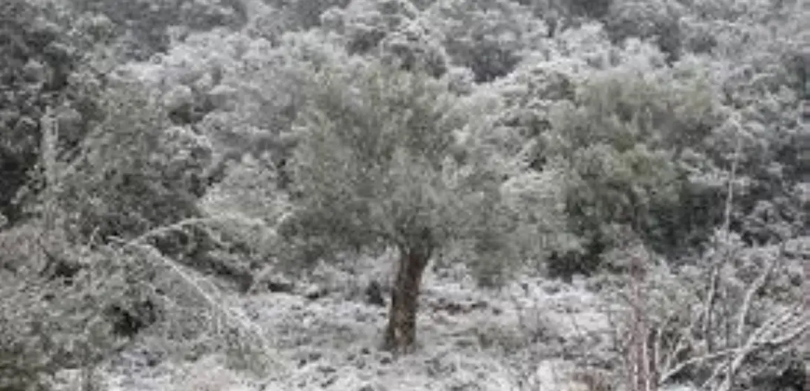 H μεγάλη Καμάδα (η ανείπωτη παγωνιά) ή ο «Κάης» του 1850-