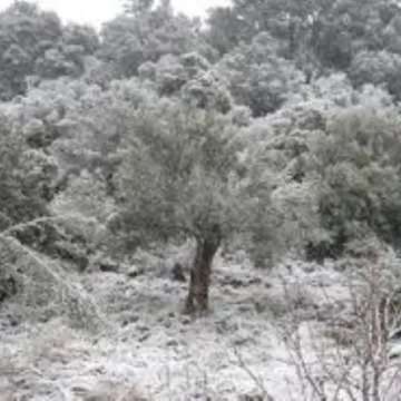 H μεγάλη Καμάδα (η ανείπωτη παγωνιά) ή ο «Κάης» του 1850-