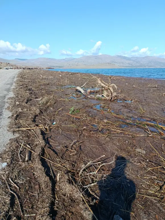Τα απόνερα του Τσικνιά στη Νυφίδα μετά την πλημμύρα της περασμένης Τρίτης (φωτογραφίες)