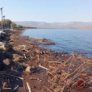 SOS του Νυφιδιώτικου Συλλόγου προς τον Δήμαρχο κ. Ταξιάρχη Βέρρο για τη Νυφίδα (νέες φωτογραφίες)
