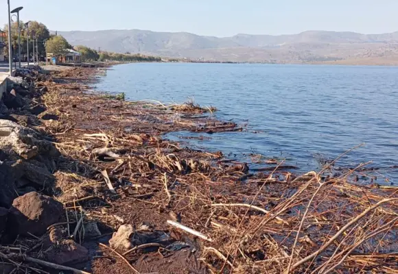 SOS του Νυφιδιώτικου Συλλόγου προς τον Δήμαρχο κ. Ταξιάρχη Βέρρο για τη Νυφίδα (νέες φωτογραφίες)