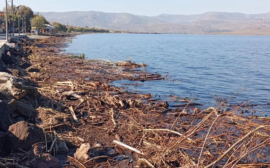 NYFIDA10 SOS του Νυφιδιώτικου Συλλόγου προς τον Δήμαρχο κ. Ταξιάρχη Βέρρο για τη Νυφίδα (νέες φωτογραφίες)