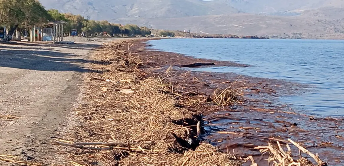 Αισιόδοξα τα νέα για τη Νυφίδα..Είθε..