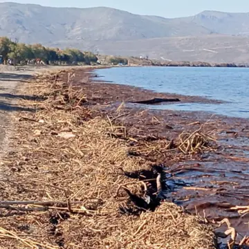 NYFIDA5 Αισιόδοξα τα νέα για τη Νυφίδα..Είθε..