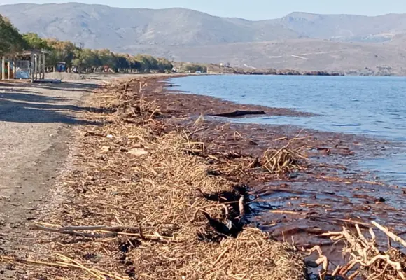 Αισιόδοξα τα νέα για τη Νυφίδα..Είθε..
