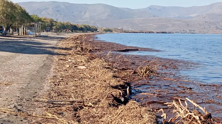 NYFIDA5 Αισιόδοξα τα νέα για τη Νυφίδα..Είθε..