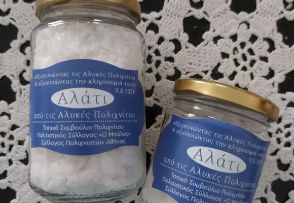 Στο σφυρί και οι αλυκές της χώρας (Πολιχνίτου και Καλλονής)-Το 2026 η πώλησή τους.