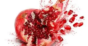 Το έθιμο του ποδαρικού στη Λέσβο-βίντεο