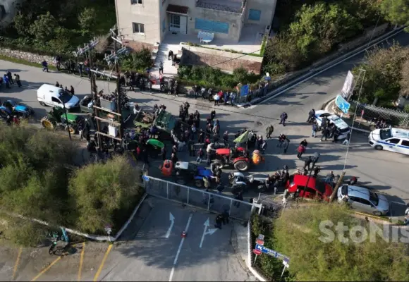 Λέσβος: Ο ελαιώνας καταρρέει, τα χωριά αδειάζουν – Και η Πολιτεία απουσιάζει