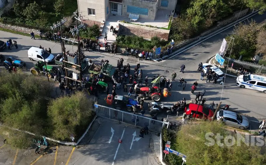 Λέσβος: Ο ελαιώνας καταρρέει, τα χωριά αδειάζουν – Και η Πολιτεία απουσιάζει