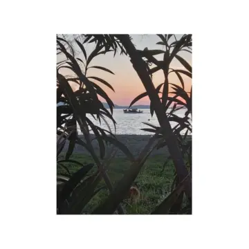 arapogloy.JPGa Έκθεση φωτογραφίας του Γιώργου Αράπογλου στην Αθήνα