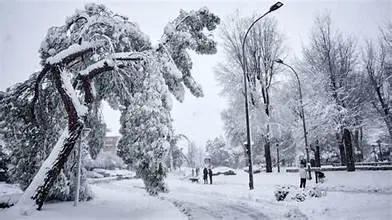 Φυσικές καταστροφές στη Λέσβο