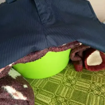 ‘’tips’’ ΓΙΑ ΦΟΥΣΚΟΥΤΕΣ ΚΟΥΛΟΥΡΙΣ ( ΤΣΟΥΡΕΚΙΑ )