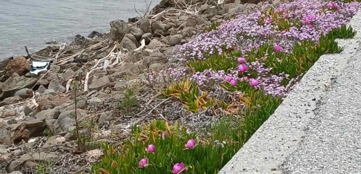 ΑΝΟΙΞΙΑΤΙΚΟΣ ΠΟΛΙΧΝΙΤΟΣ!!!