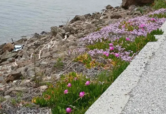 ΑΝΟΙΞΙΑΤΙΚΟΣ ΠΟΛΙΧΝΙΤΟΣ!!!