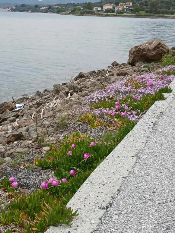 ΑΝΟΙΞΙΑΤΙΚΟΣ ΠΟΛΙΧΝΙΤΟΣ!!!