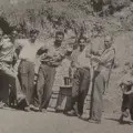 Συνεταιρισμός Περιβολάρηδων Μεσοτόπου. Η διακίνηση της ντομάτας τη δεκαετία του 1950