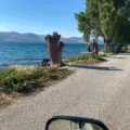Κομμένα αρμυρίκια στην Περιβόλα, πράξη αυθαιρεσίας και βαρβαρότητας