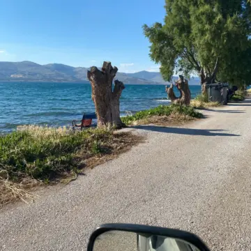 Κομμένα αρμυρίκια στην Περιβόλα, πράξη αυθαιρεσίας και βαρβαρότητας