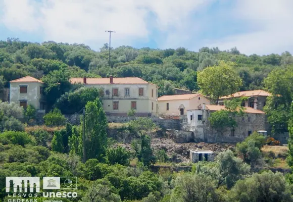 ΑΦΙΕΡΩΜΑ ΣΤΗΝ ΙΕΡΑ ΜΟΝΗ ΔΑΜΑΝΔΡΙΟΥ-ΜΕΡΟΣ 1ο