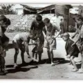 Πού μι πιάνιτι μπαστάρδ΄ να ρίξου!