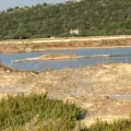 Ορνιθοπαρατήρηση στην αλυκή της Σκάλας Πολιχνίτου