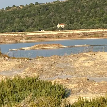 Ορνιθοπαρατήρηση στην αλυκή της Σκάλας Πολιχνίτου