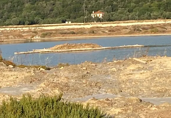 Ορνιθοπαρατήρηση στην αλυκή της Σκάλας Πολιχνίτου