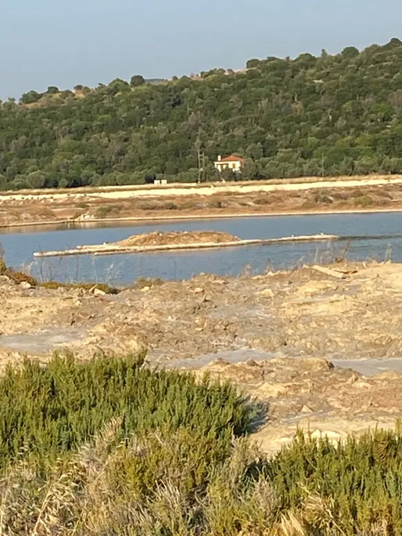 Ορνιθοπαρατήρηση στην αλυκή της Σκάλας Πολιχνίτου