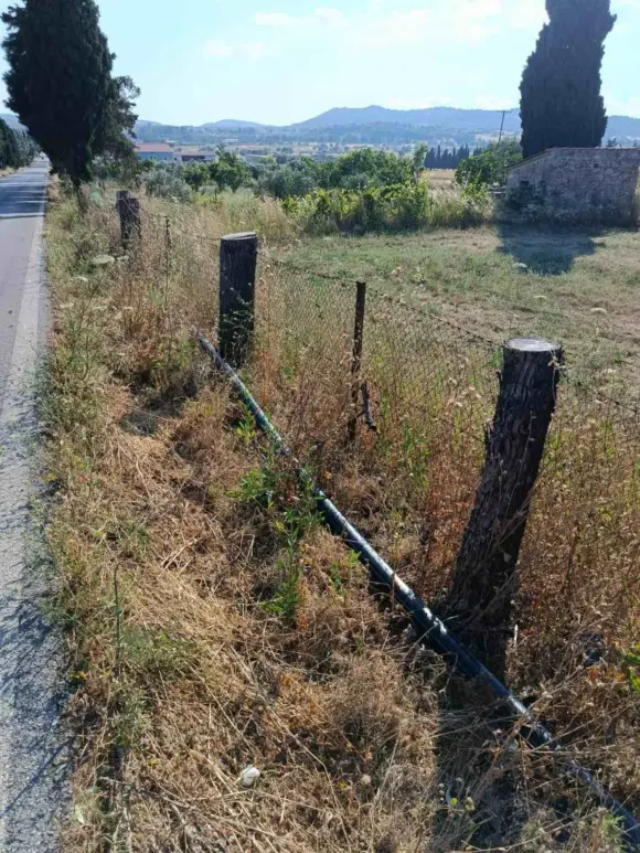 Κομμένα ἁλμυρίκια στὴν Περιβόλα καὶ ὄχι μόνο…  (ἡ δενδροφύτευση στὸν Ξηρόκαμπο)