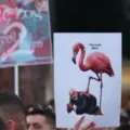 ALBANIA PROTESTS x