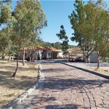 bania jpg
