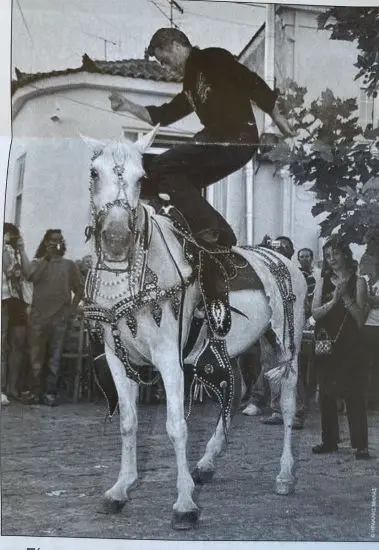 IMG JPGΜ IMG JPGΜ